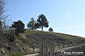 VBS_1145 - Santo Stefano Roero